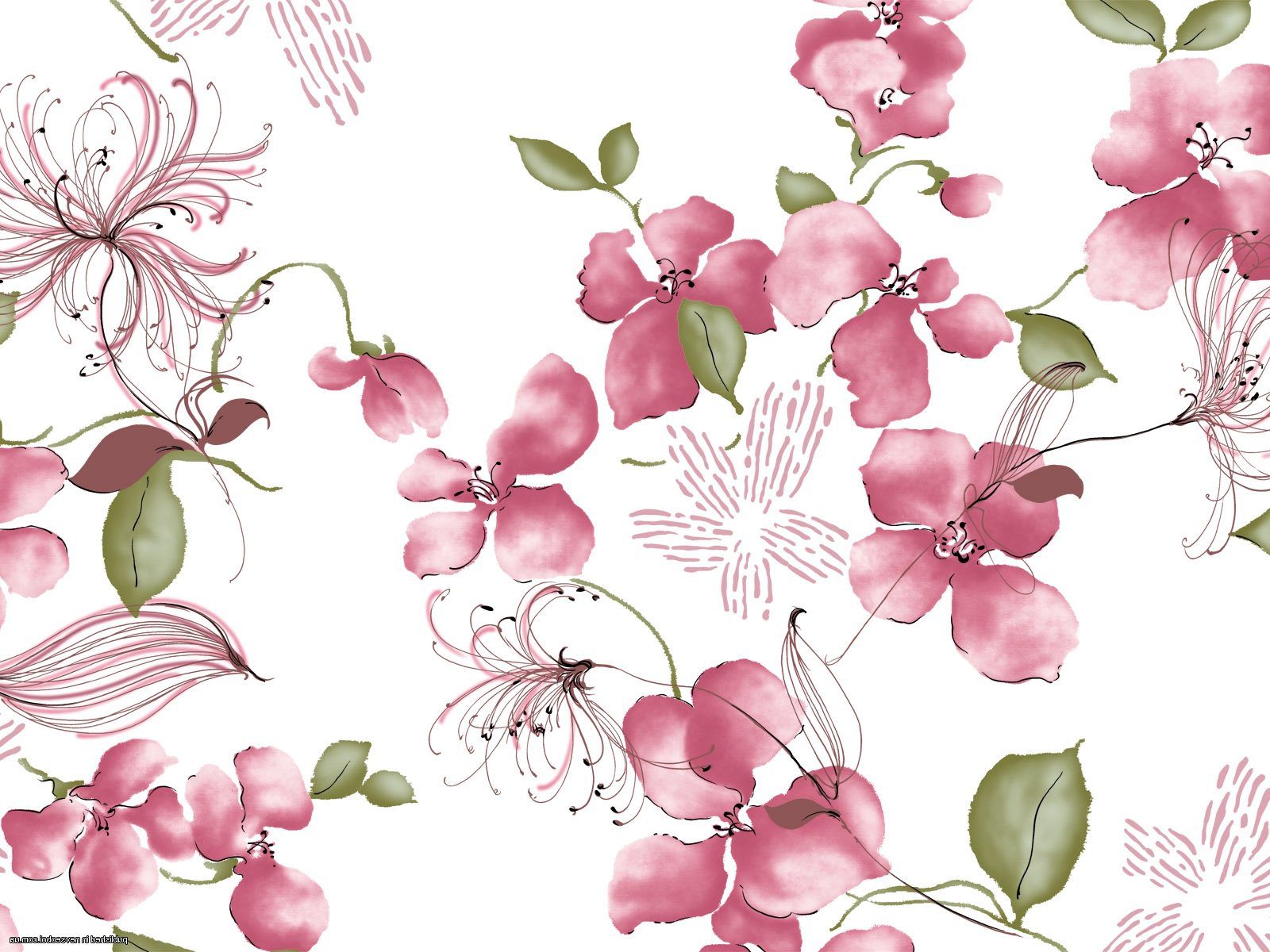 фото нарисованного растения