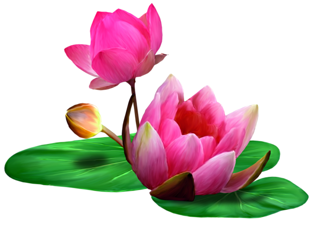 фото нарисованного растения