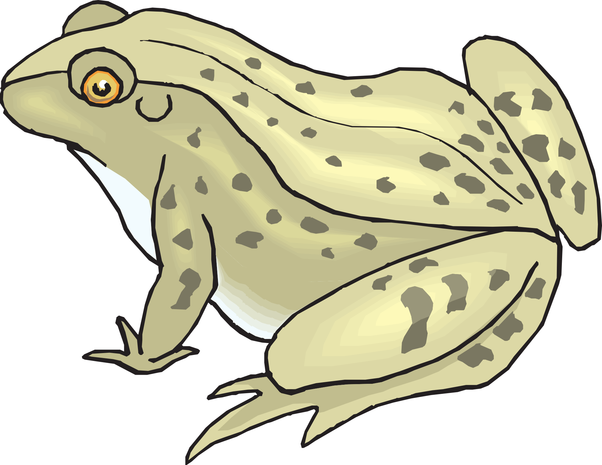 обои на телефон милые лягушки нарисованные