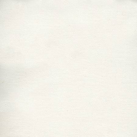 duck canvas white