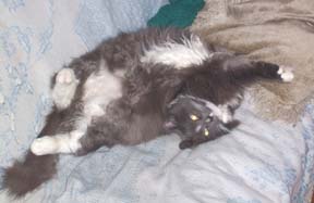 Congratulations - you're Serge!