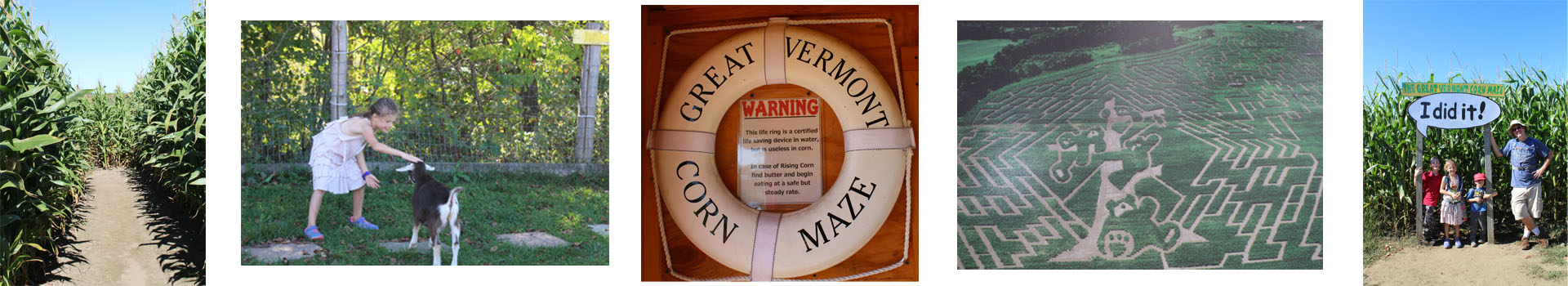 The Great Vermont Corn Maze