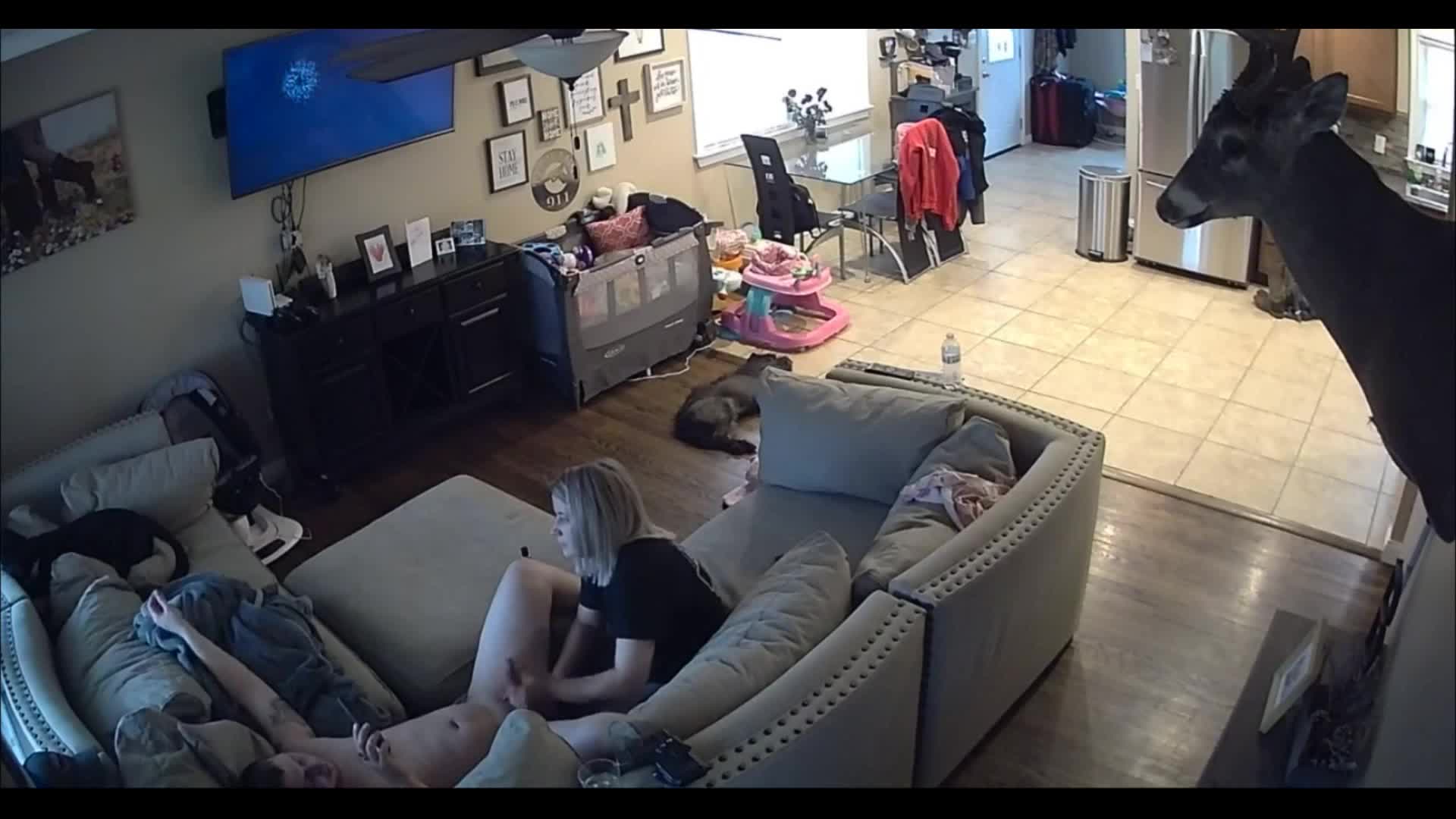 Hacked IP cam couple 