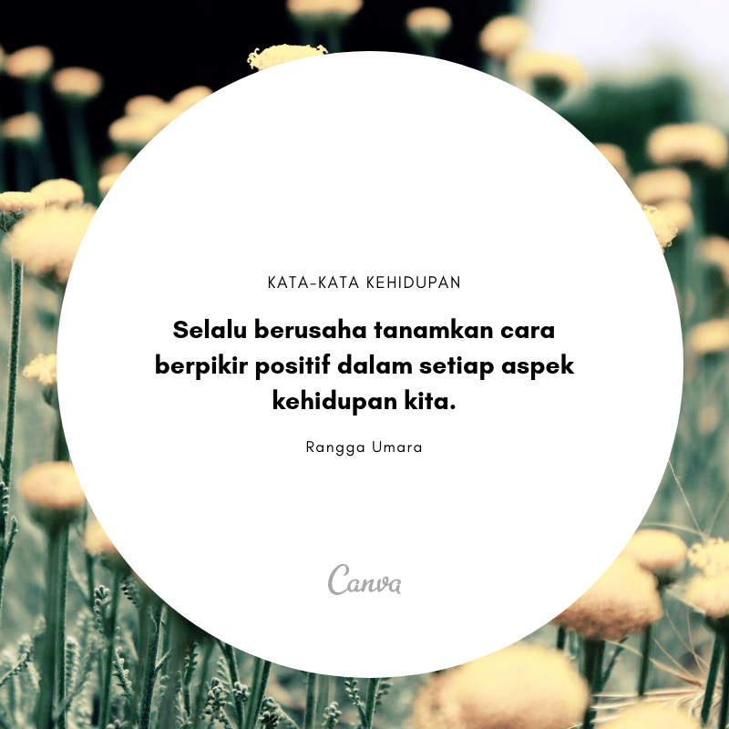 kata filosofi yang dipungut dari bahasa belanda juga dikenal di indonesia. Kata Kata Kehidupan Paling Bijak Dengan Gambar Canva