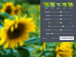 blur canva slider fly