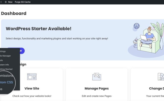 How To Add Custom CSS To Your WordPress Site - SiteGround KB