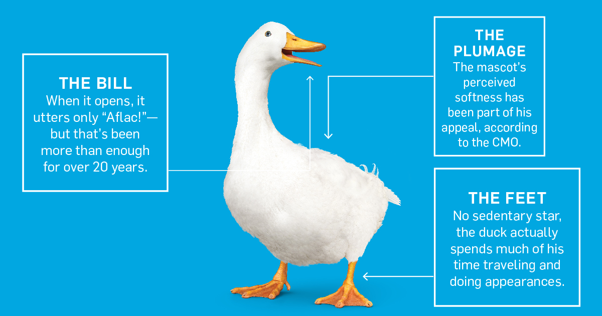 Aflac home insurance reviews