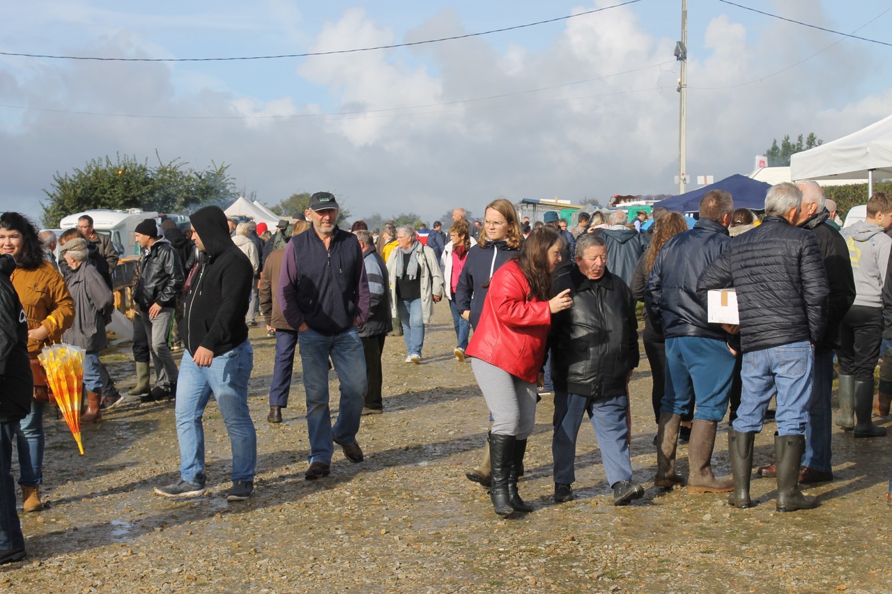 Foire Saint Denis De Brix Le Grand Rendez Vous De La Ruralite La Presse De La Manche