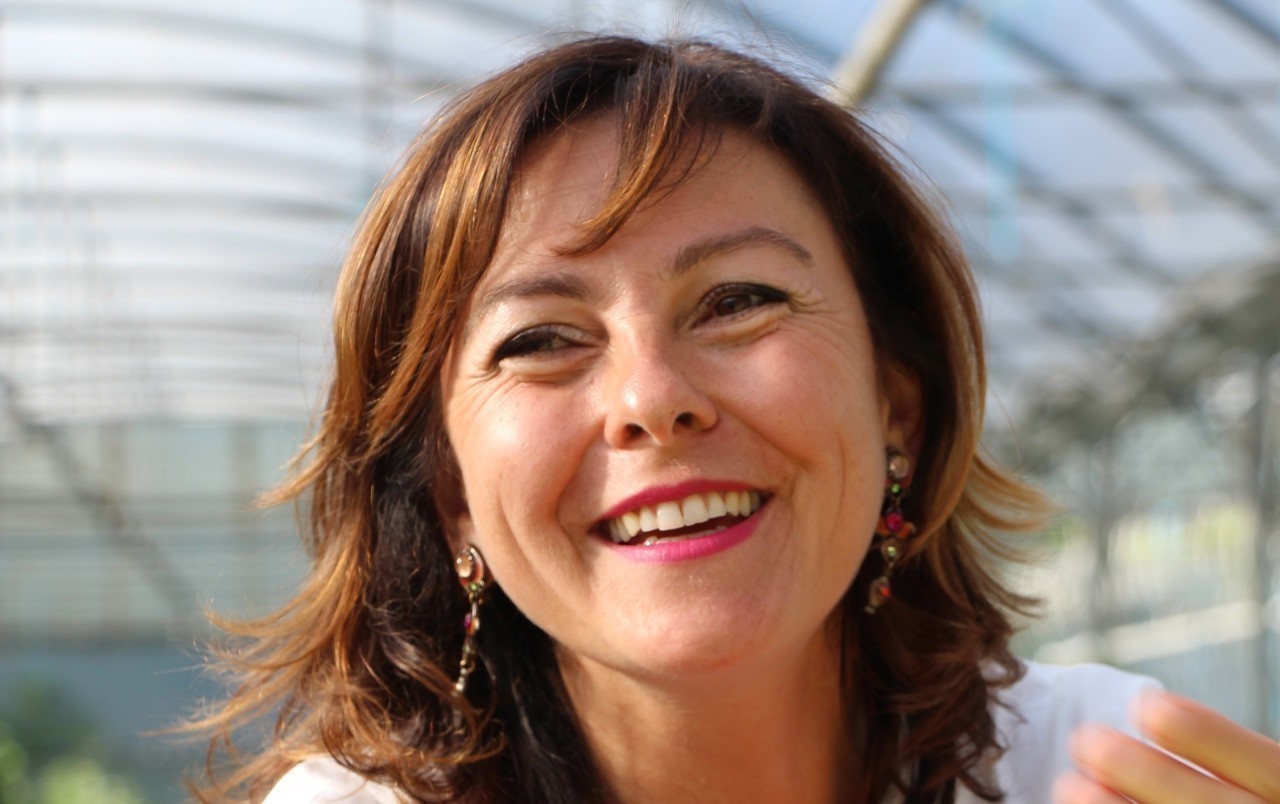 From comedic to true crime, check out the 10 podcasts that got us through 2021. Regionales 2021 Resultats Du Premier Tour A Toulouse Carole Delga S Impose Devant Antoine Maurice Actu Toulouse