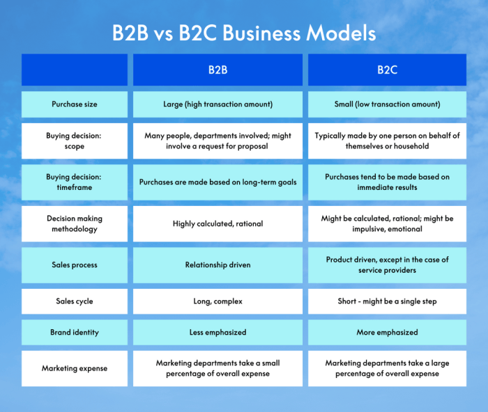 Describe different types of B2B business model.