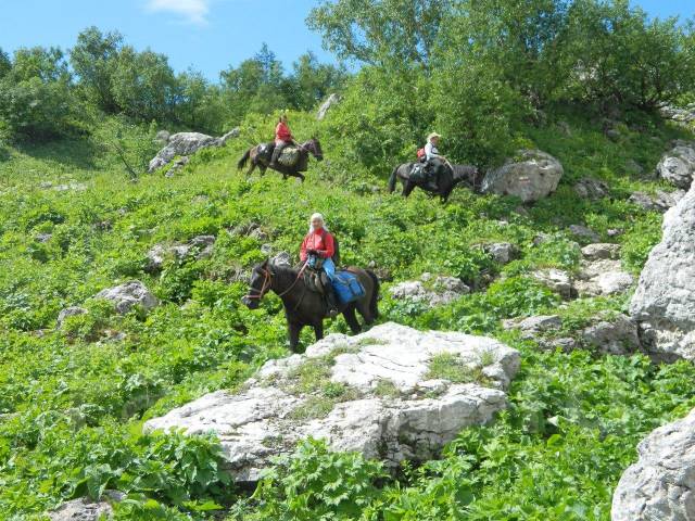 Мы предлагаем уникальные поездки в горы из краснодара. Otdyh V Gorah Kavkaza Konnye Peshie Tury Krasnodar Sportivnyj Tur Rossiya V Moskve