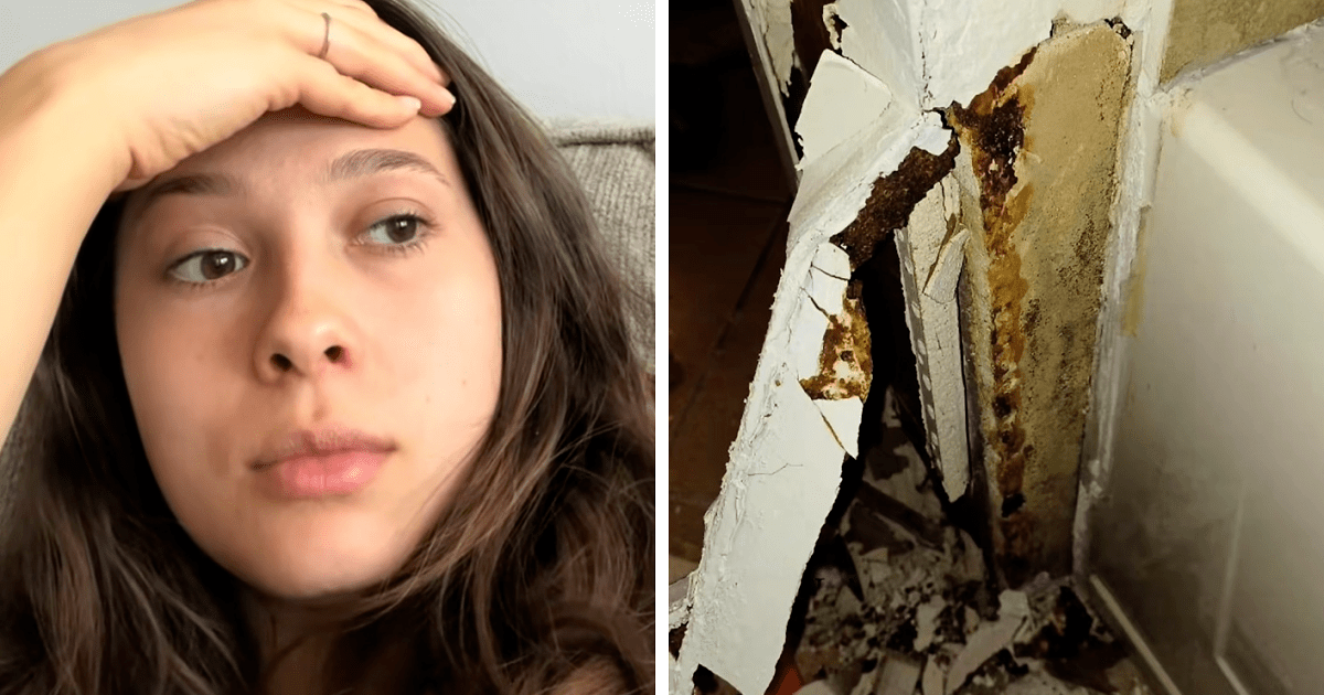 Uncovering the Hidden Dangers: How Black Mold Ruined My Health (2026)