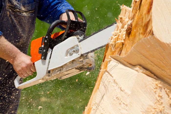 Wakfran Cordless Chainsaw 58cc Portable Petrol Powered Chainsaw 3Kw ... Wakfran Cordless Chainsaw 58cc Portable Petrol Powered Chainsaw 3Kw ...