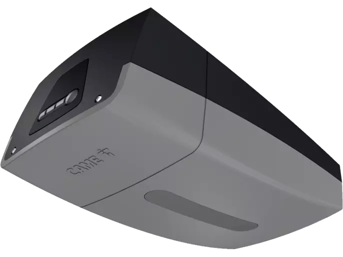 801mv 0050 Came - Professional Nature Art - Ultra HD