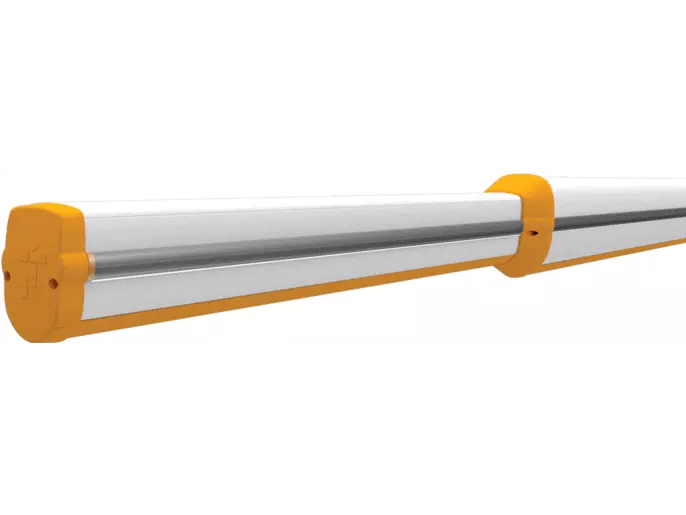 803xa 0290 Came - Best Nature Images in Ultra HD