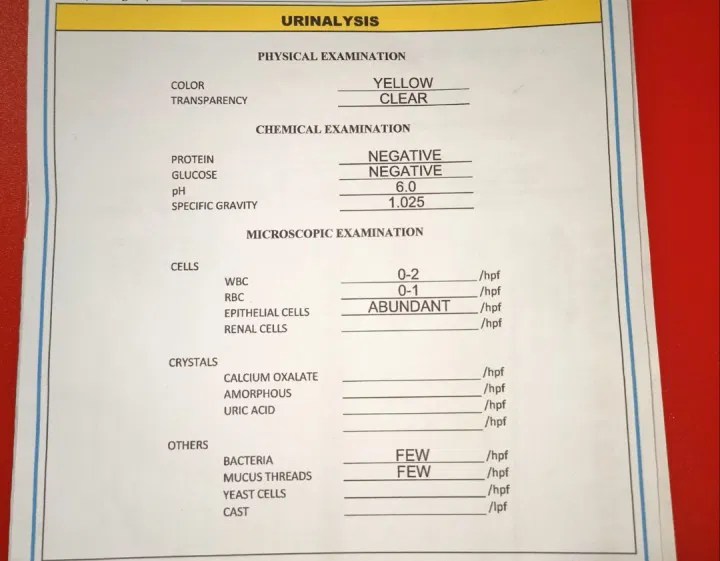 Urinalysis Result Pdf - Beautiful Sunset Background - Retina