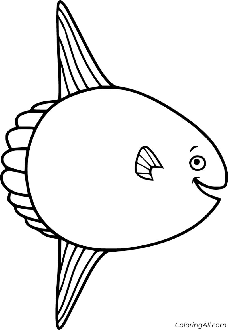 Easy Sunfish - Best Colorful Illustrations in Mobile