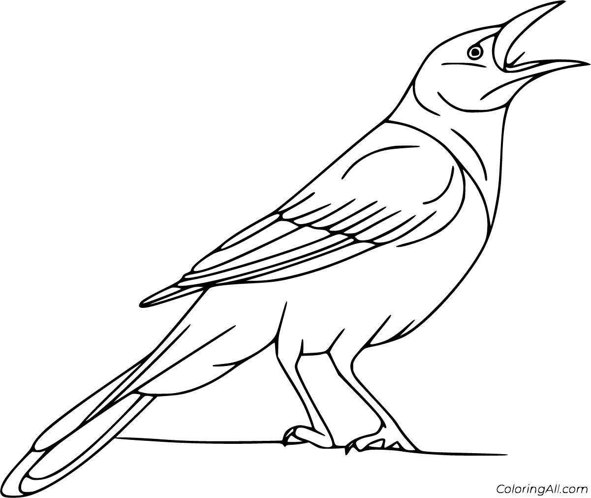 Crow coloring pages (10 free printables)