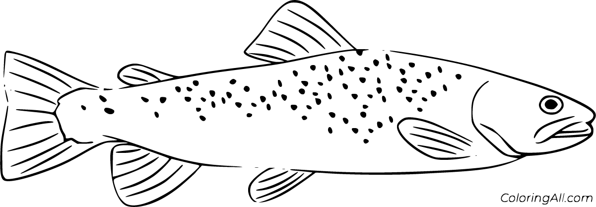 Trout coloring pages (30 free printables)