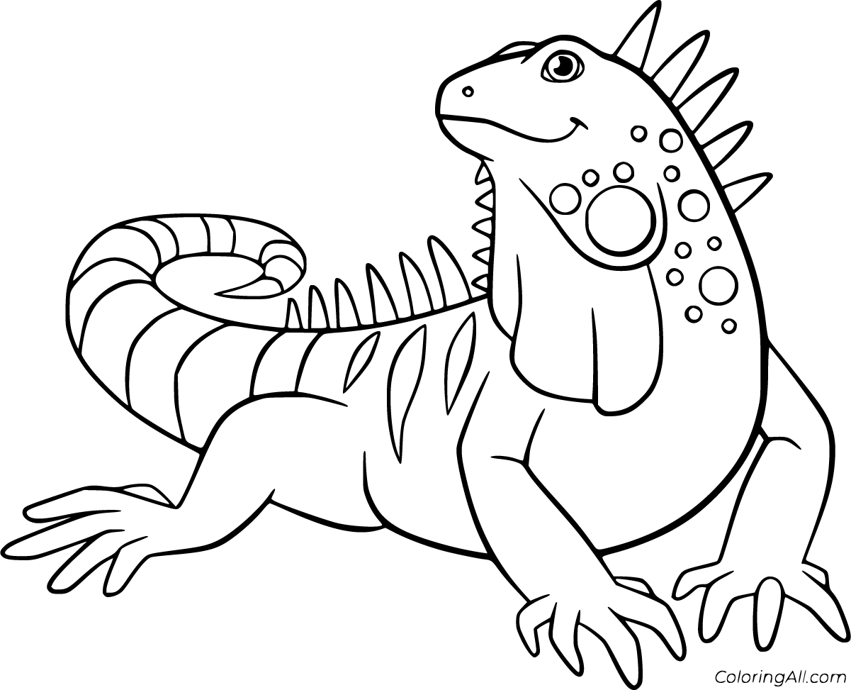 Iguana coloring pages (23 free printables)