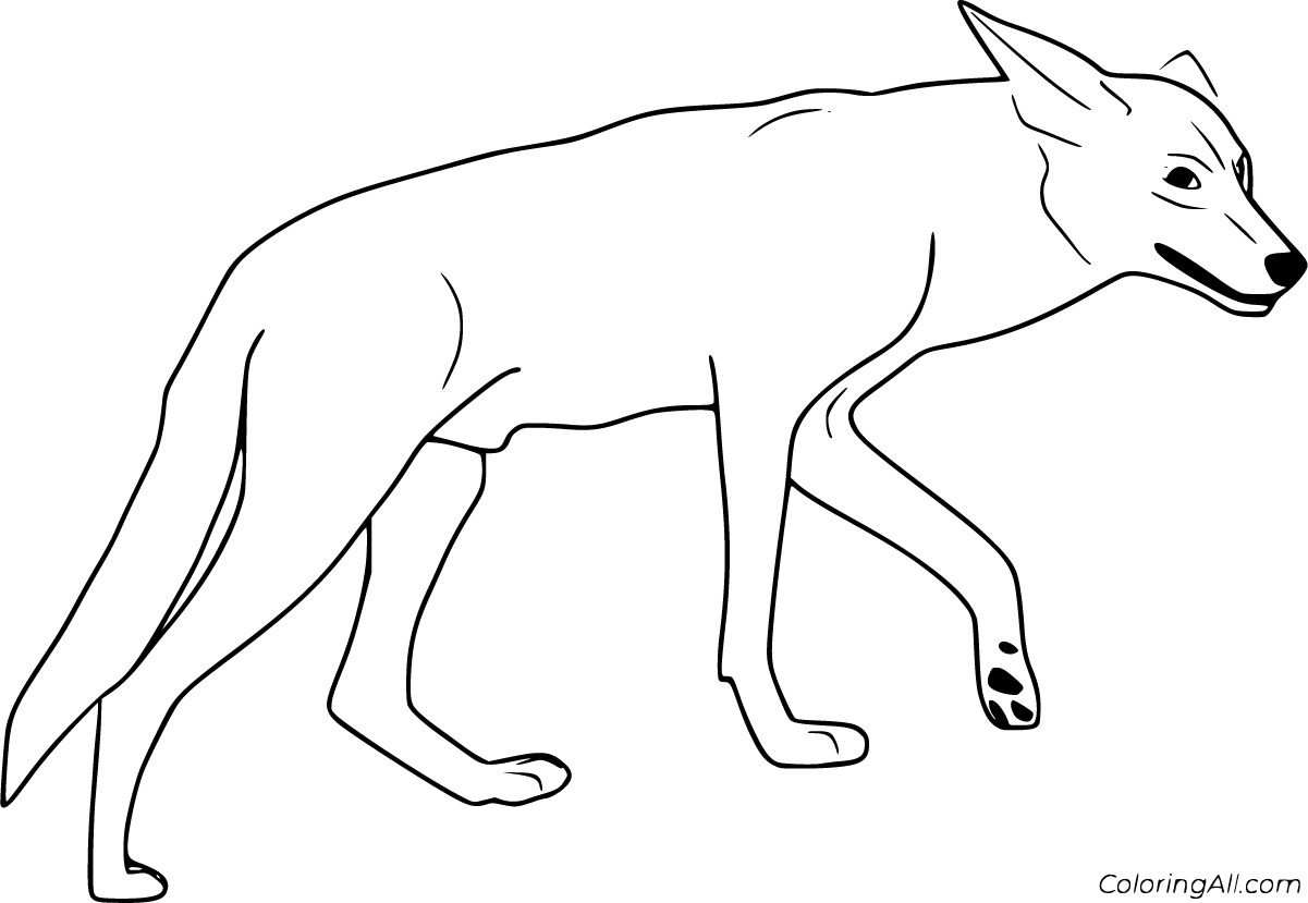 Coyote coloring pages (20 free printables)
