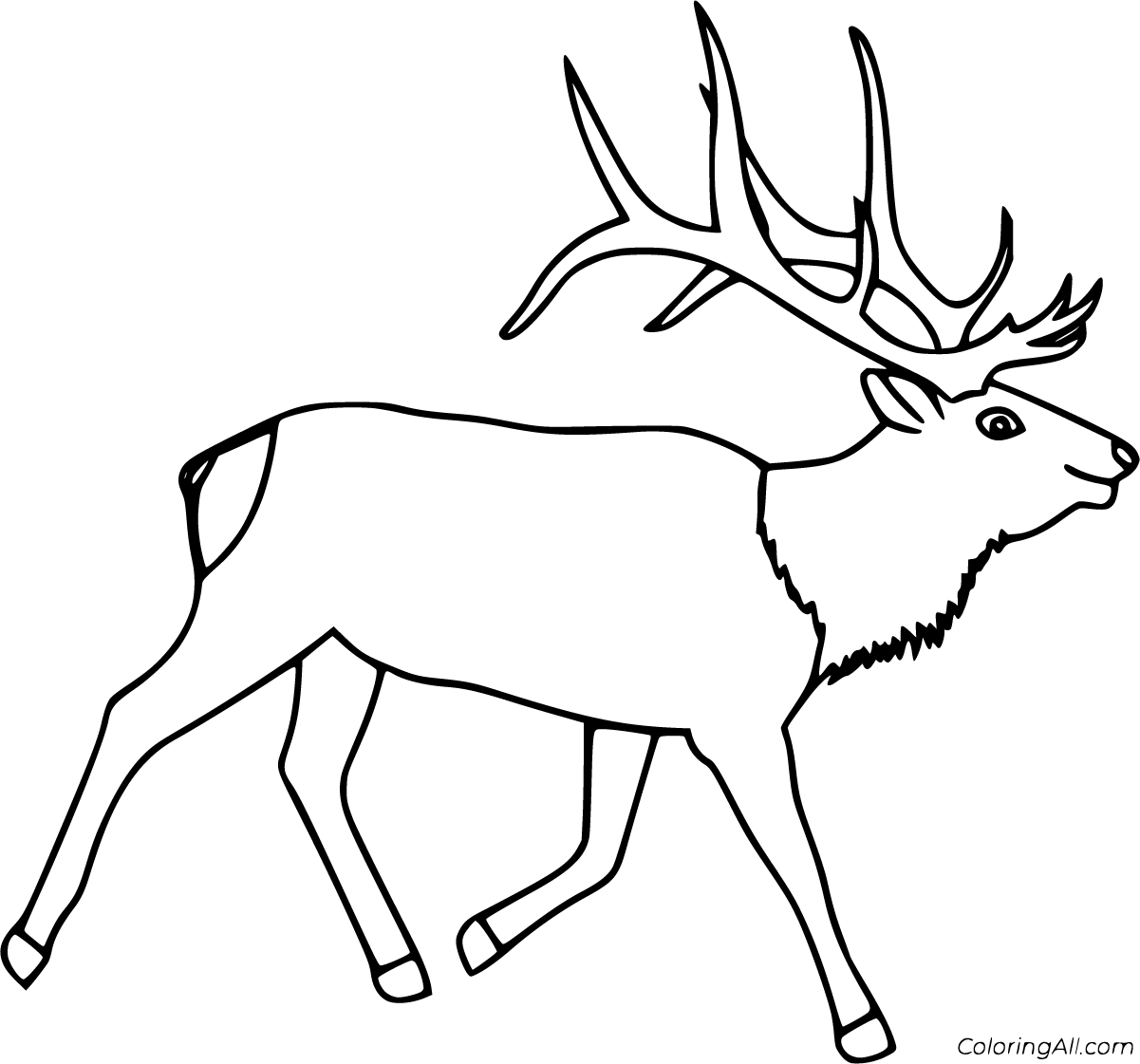 Elk coloring pages (21 free printables)