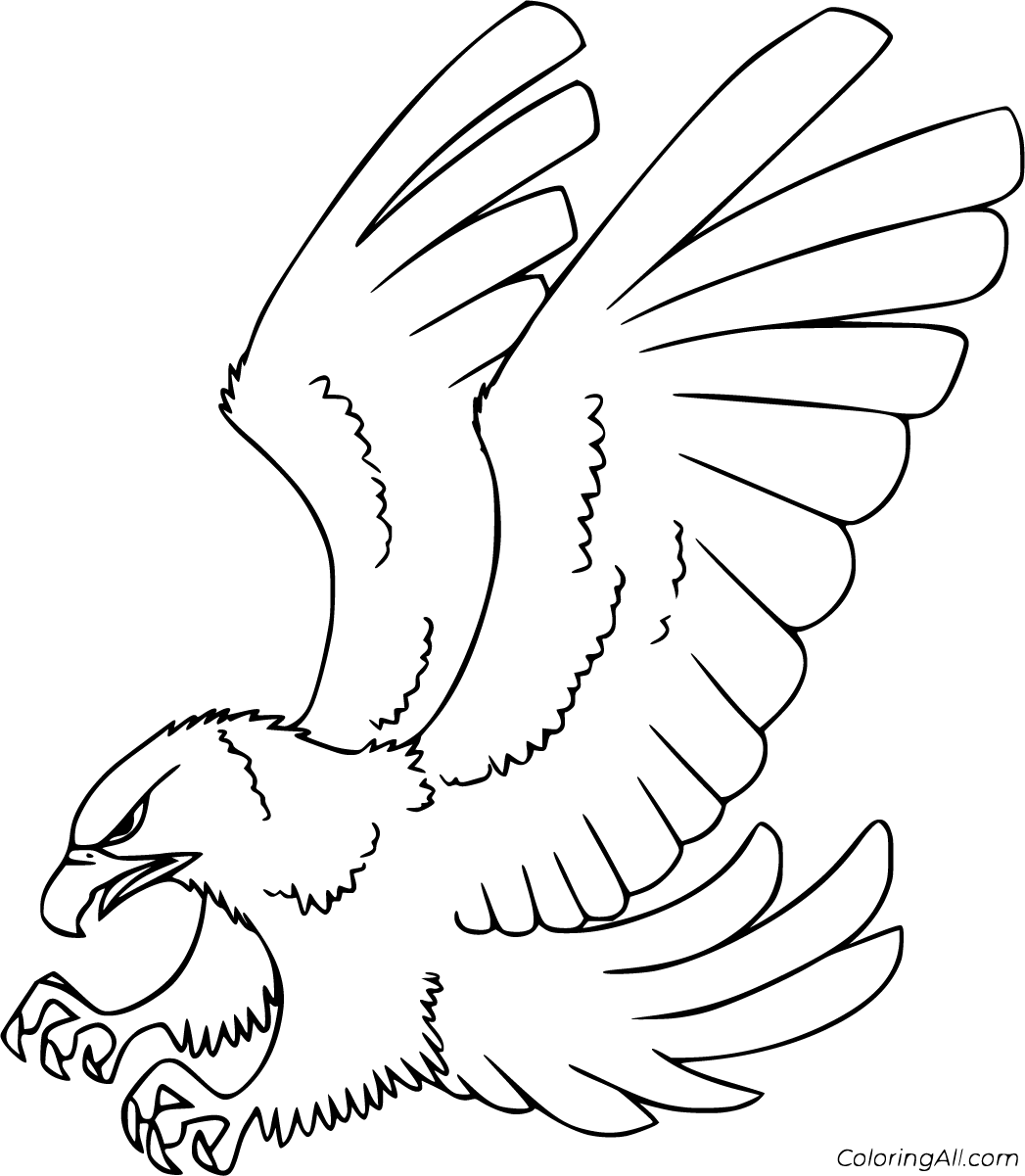 Hawk coloring pages (18 free printables)