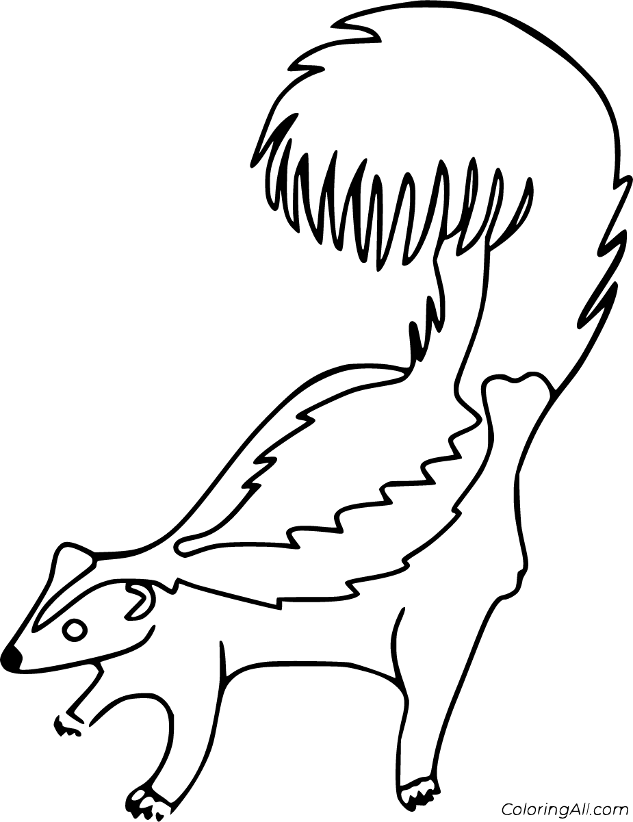 Skunk coloring pages (27 free printables)