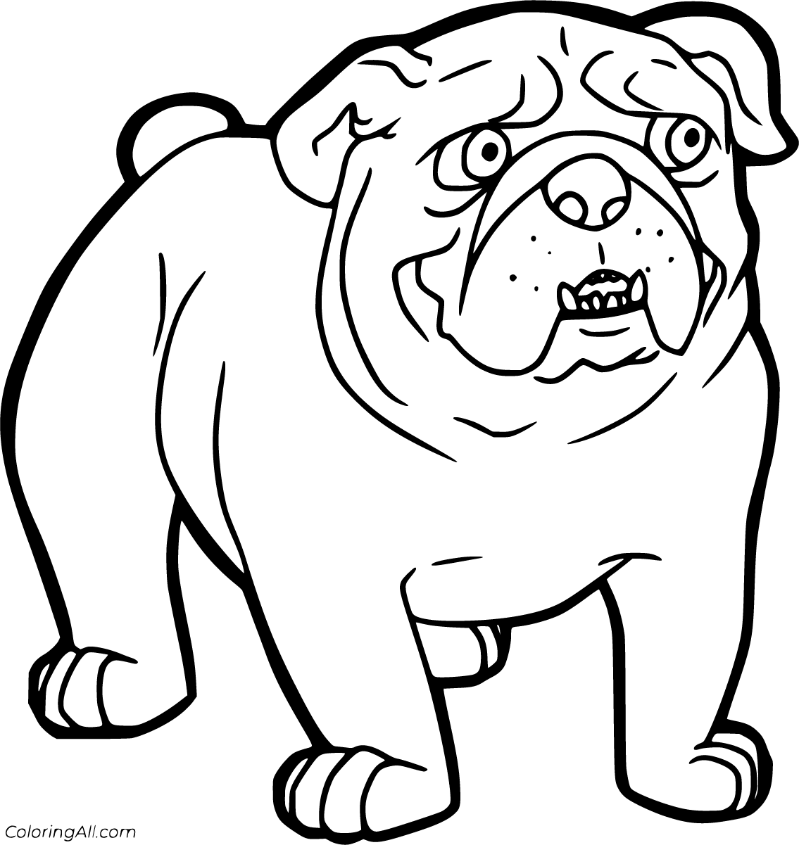 Bulldog coloring pages (16 free printables)