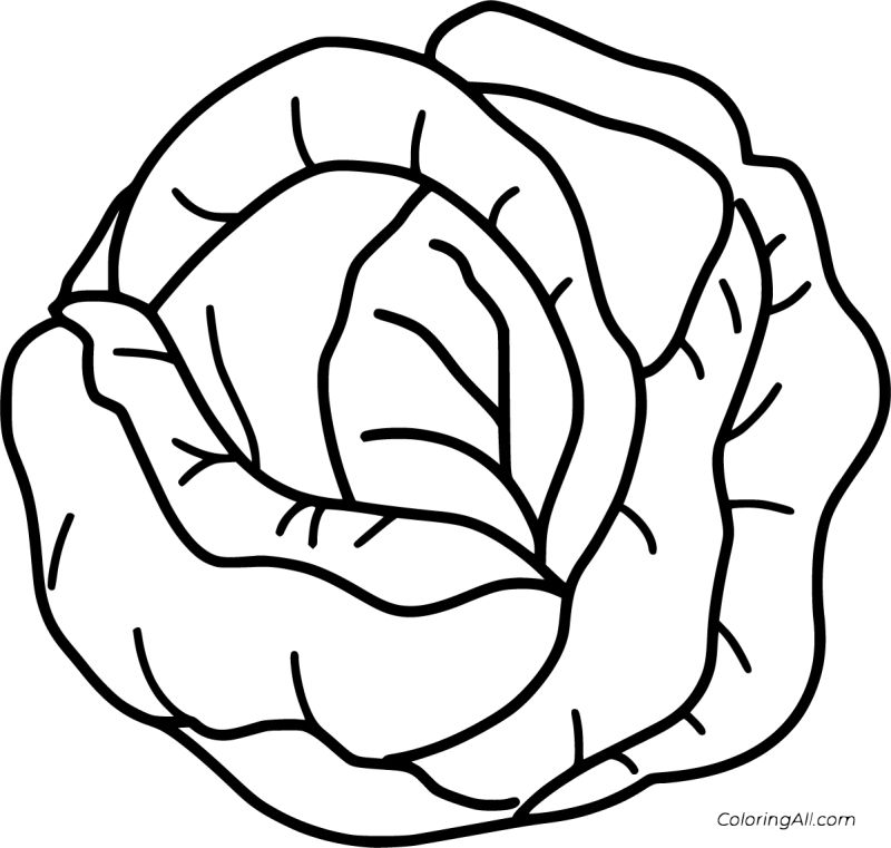 Cabbage Smiling Coloring Page - Download Gorgeous Sunset Photo | HD