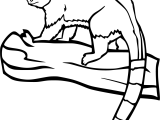 Tree Kangaroo Coloring Pages 3 Free Printables Coloringall