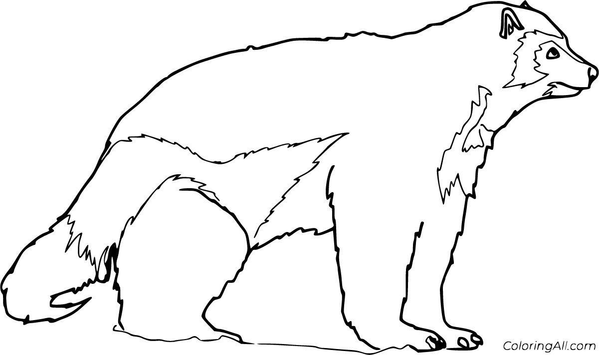 Wolverine coloring pages (5 free printables)