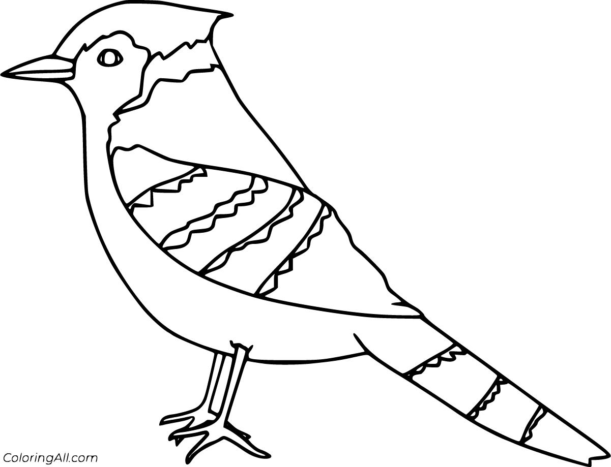 Blue jay coloring pages (16 free printables)