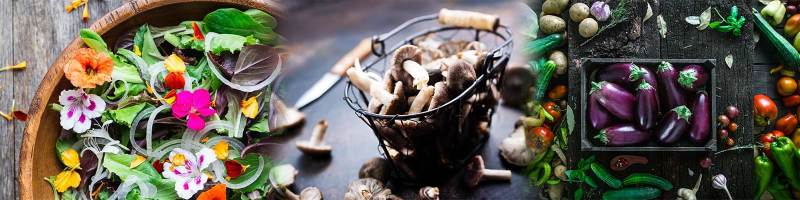 Plant Based Conscious Culinary Services - Premium High Resolution Vintage Images | Free Download