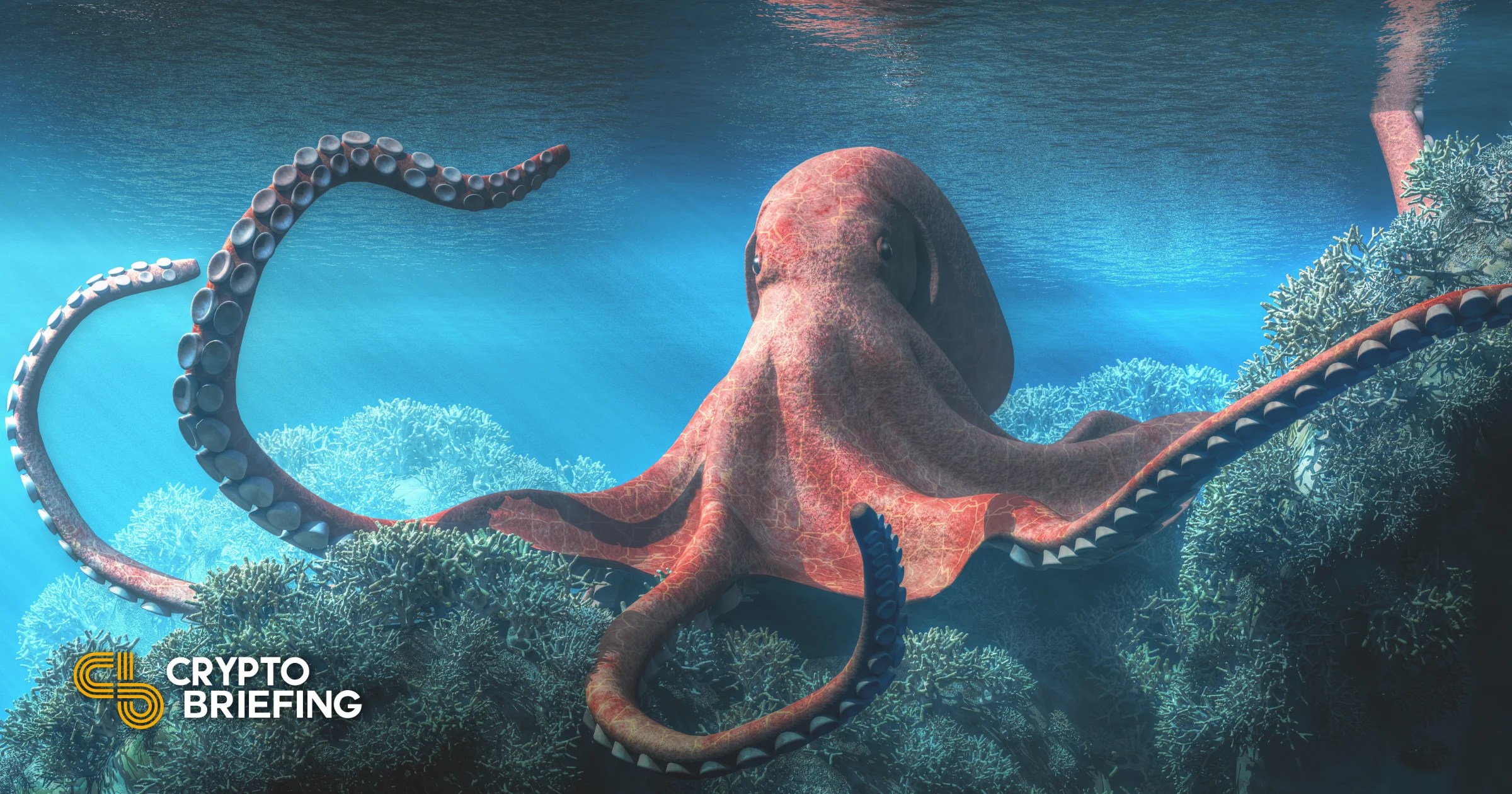 Low fees, strong security protections, and many currency options · fees: Kraken Is Planning An Nft Marketplace Crypto Briefing