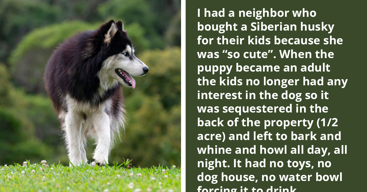 Annoyed resident wonders if he's wrong for telling neighbor's noisy dog
