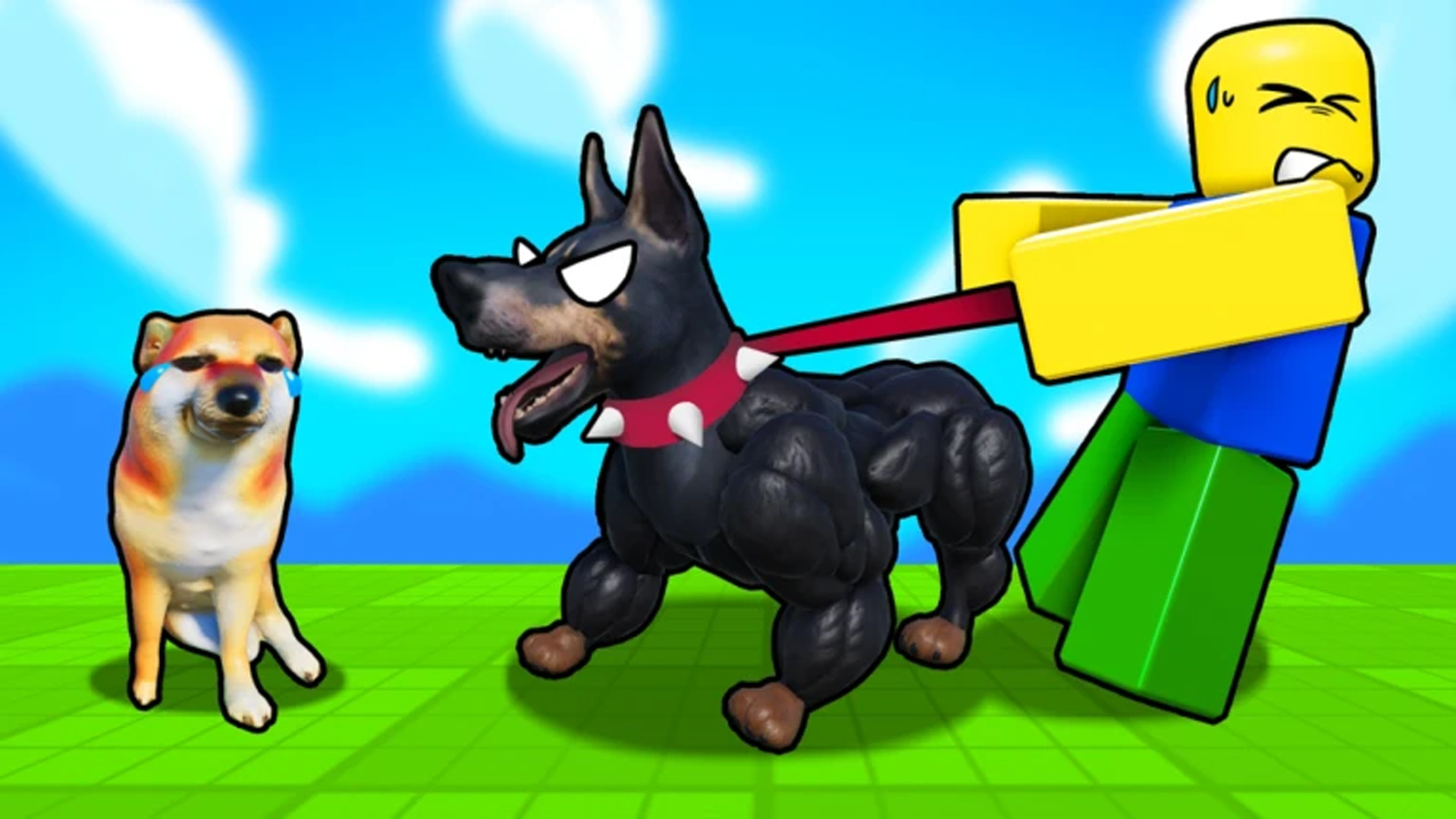 Train Dog To Fight Codes April 2026 Deltia S Gaming TDTF 