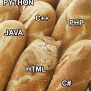 20 Memes And Jokes Specially Coded For Programmers | DeMilked