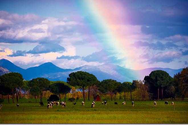 Heat, temperature, and thermal energy . Climate vs Weather - Difference and Comparison | Diffen