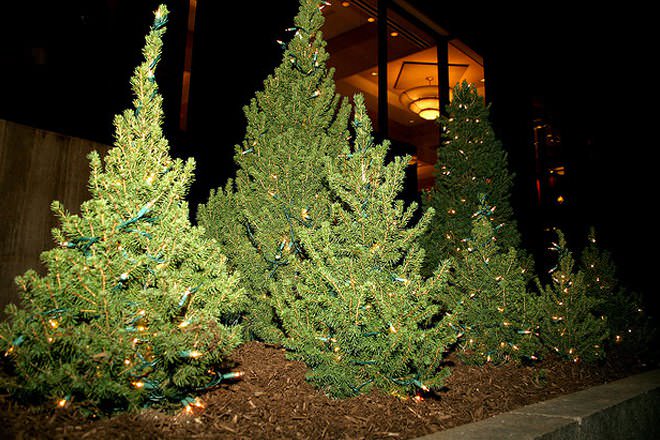 15 Best Artificial Christmas Trees 2020 Best Fake Christmas Trees