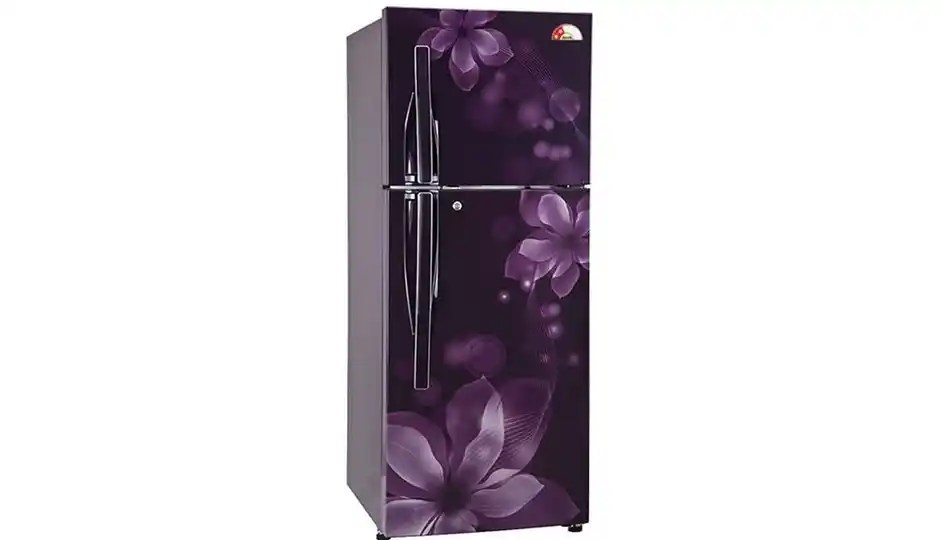 This refrigerator comes with 3 shelves, . LG 255 L Frost Free Double Door Refrigerator Price in