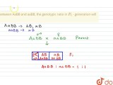 Odia Solution In A Cross Between Aabb And Aabb The Genotypic Ratio