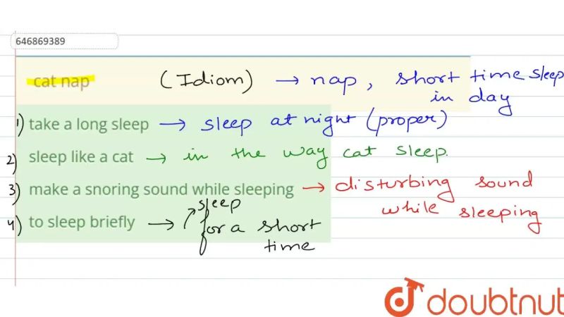 Cat Nap Pdf - Creative Light Background - Full HD