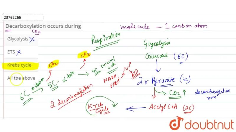 Decarboxylation - Colorful Backgrounds - Professional Mobile Collection