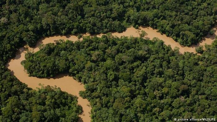 Das amazonasgebiet von ecuador, auch der oriente genannt, breitet sich am fuße der östlichen andenkette aus. Ecuador Fordert Nun Doch Erdol Im Amazonas Nationalpark Wirtschaft Dw 16 08 2013