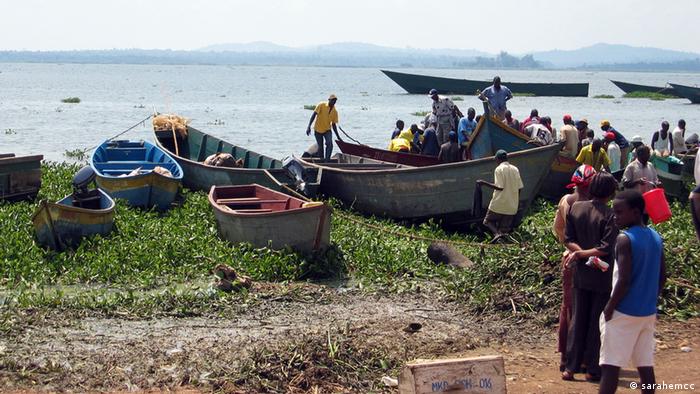 While boat insurance is not required in every state, it’s something you definitely want to consider. Nursing Lake Victoria Back To Health Global Ideas Dw 02 10 2012