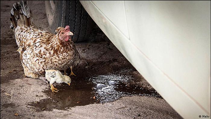 Primaria sector 3 bucuresti, informatii pentru cetateni. De Ce Taci Europa Und Esti America Romania Dw 11 11 2014