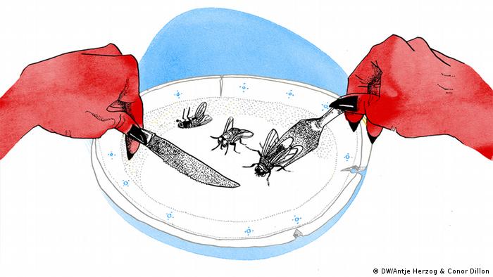 Sprichwörter: Weisheiten Für Alle Lebenslagen | Kultur | Dw | 30.03.2016 394_x_700_jpg