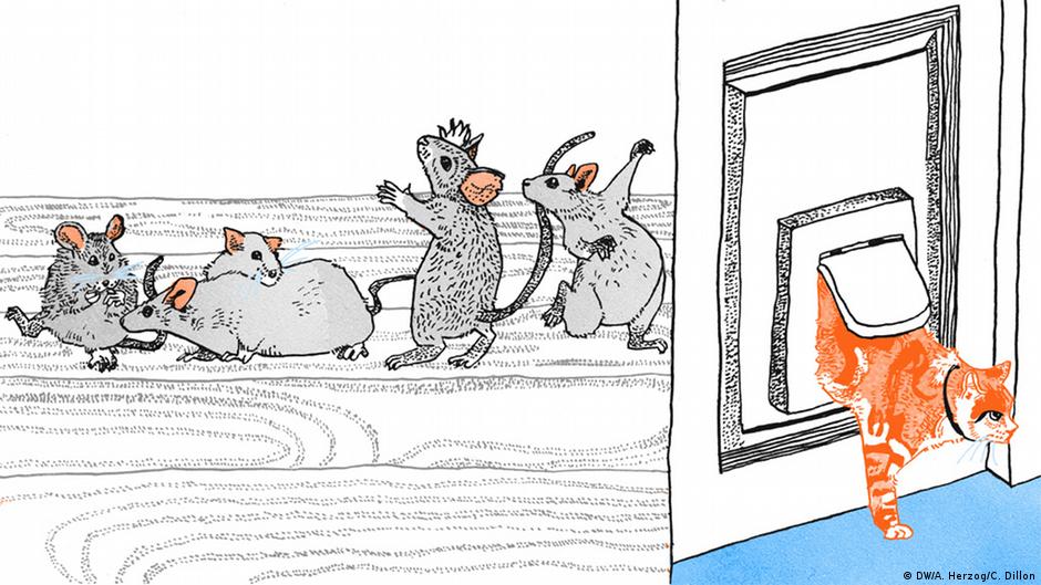 Wenn Sprichworter Zu Bildern Werden Alle Multimedialen Inhalte Der Deutschen Welle Dw 10 04 2017