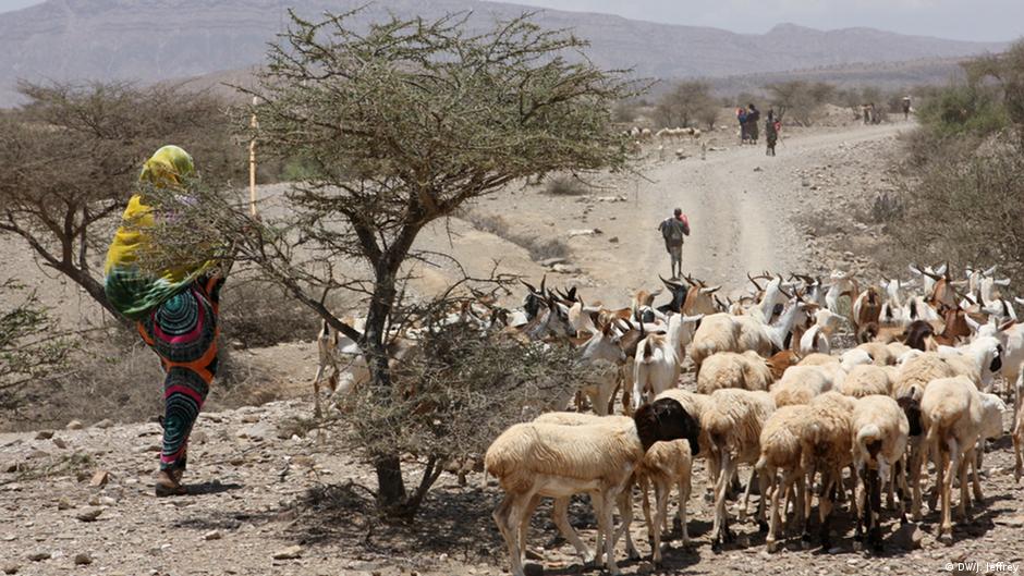 Saving an ancient nomadic way of life